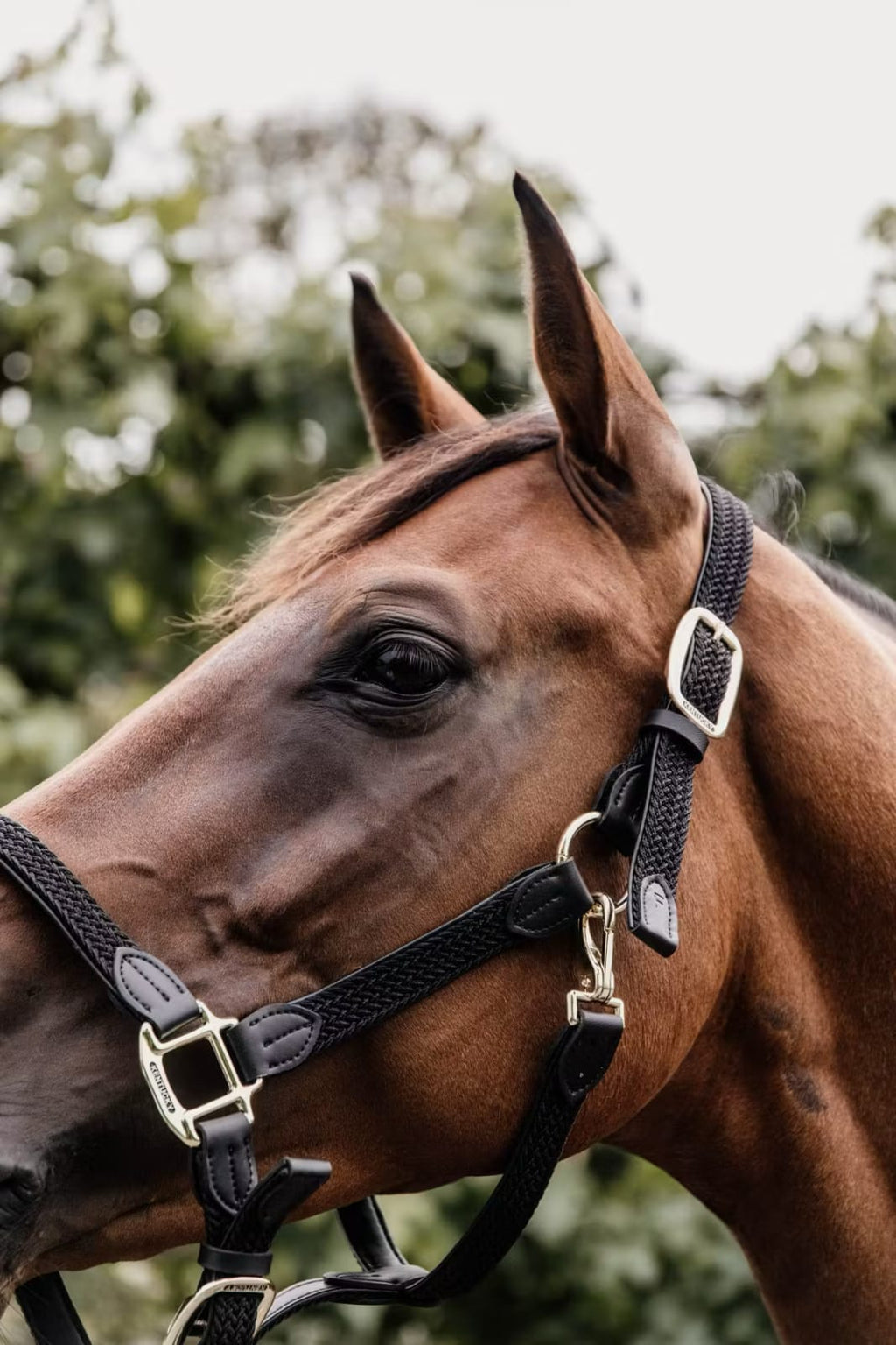 Kentucky Nylon Plaited Halter - Løwenborg - Kentucky Horsewear