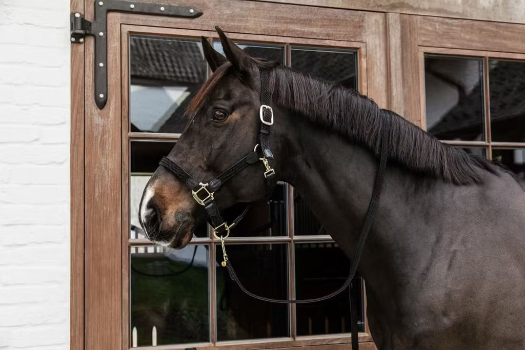 Kentucky Nylon Plaited Halter - Løwenborg - Kentucky Horsewear