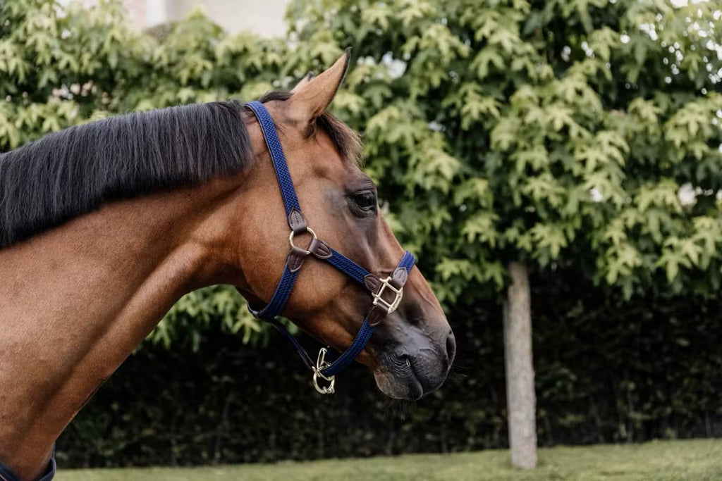 Kentucky Nylon Plaited Halter - Løwenborg - Kentucky Horsewear