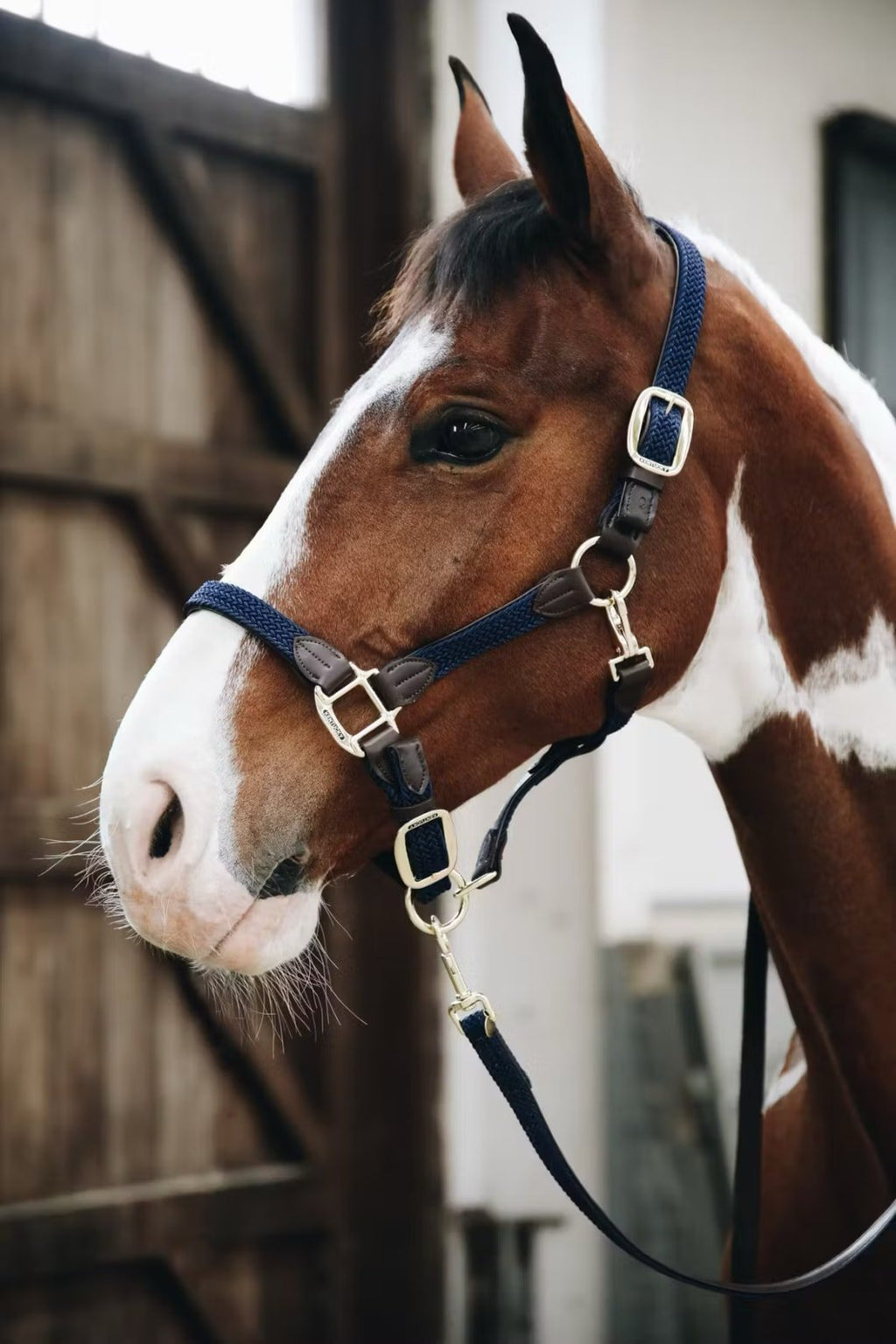 Kentucky Nylon Plaited Halter - Løwenborg - Kentucky Horsewear