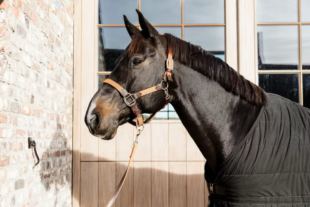 Kentucky Nylon Plaited Halter - Løwenborg - Kentucky Horsewear