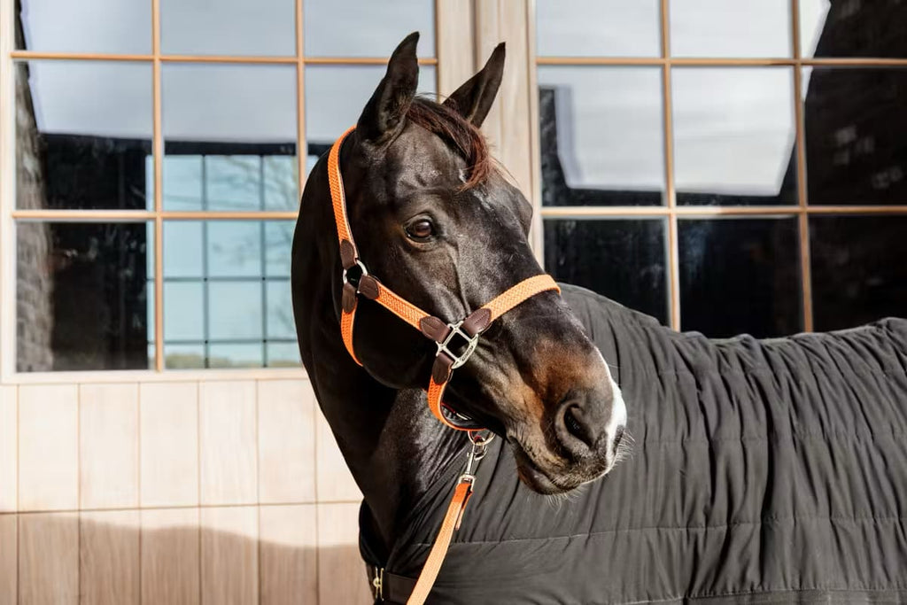 Kentucky Nylon Plaited Halter - Løwenborg - Kentucky Horsewear