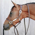 Kentucky Leather Covered Chain Lead - Løwenborg - Kentucky Horsewear