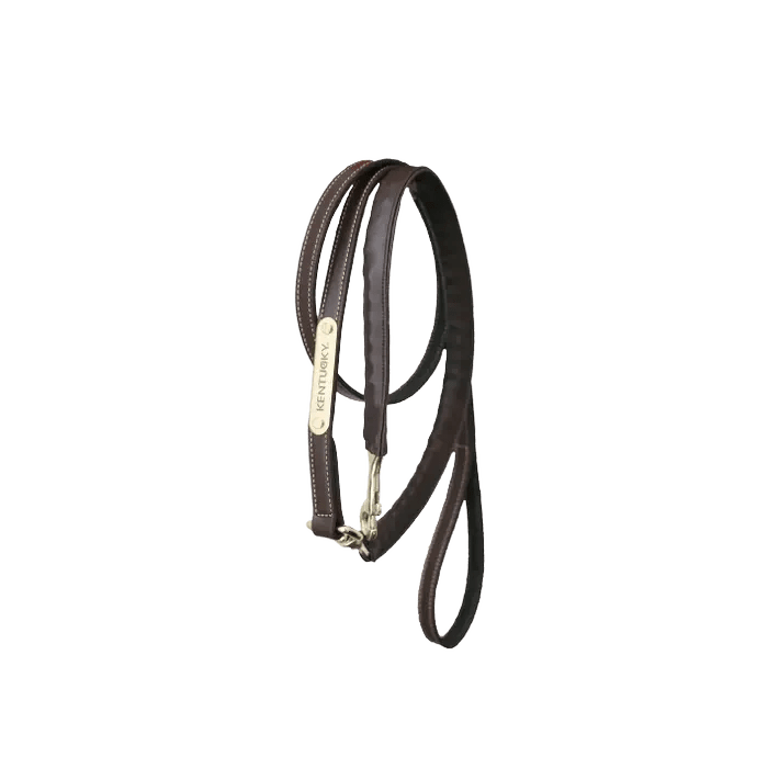 Kentucky Leather Covered Chain Lead - Løwenborg - Kentucky Horsewear
