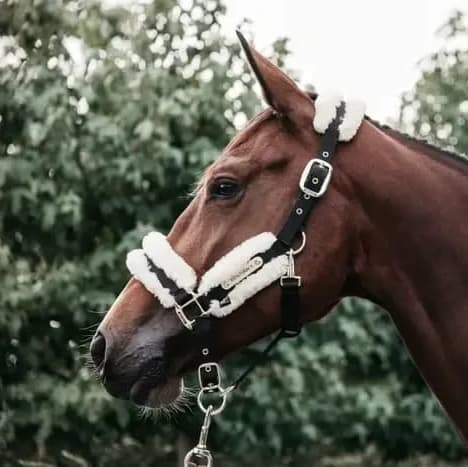 Kentucky Nylon Sheepskin Halter - Løwenborg - Kentucky Horsewear