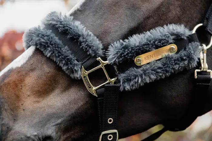 Kentucky Nylon Sheepskin Halter - Løwenborg - Kentucky Horsewear
