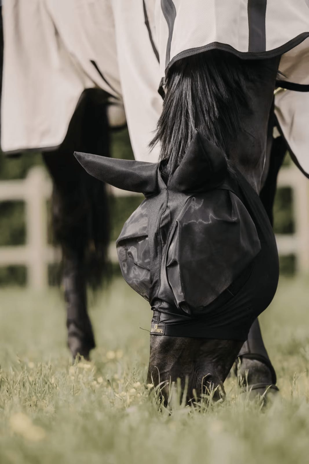 Kentucky Fly Mask Slim Fit - Løwenborg - Kentucky Horsewear