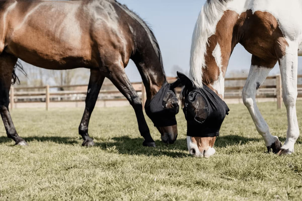 Kentucky Fly Mask Slim Fit - Løwenborg - Kentucky Horsewear