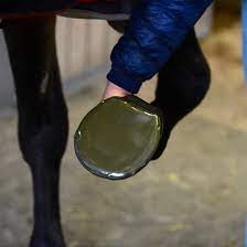 Kentucky Sole Tape - Løwenborg - Kentucky Horsewear
