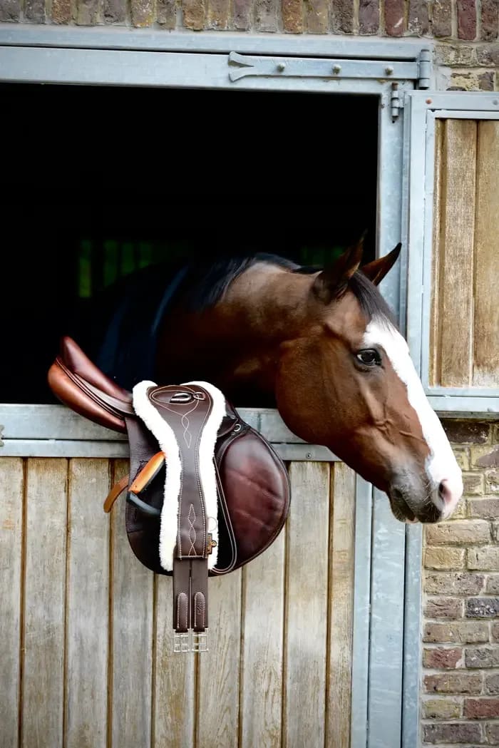 Kentucky Sheepskin Anatomic Girth - Løwenborg - Kentucky Horsewear