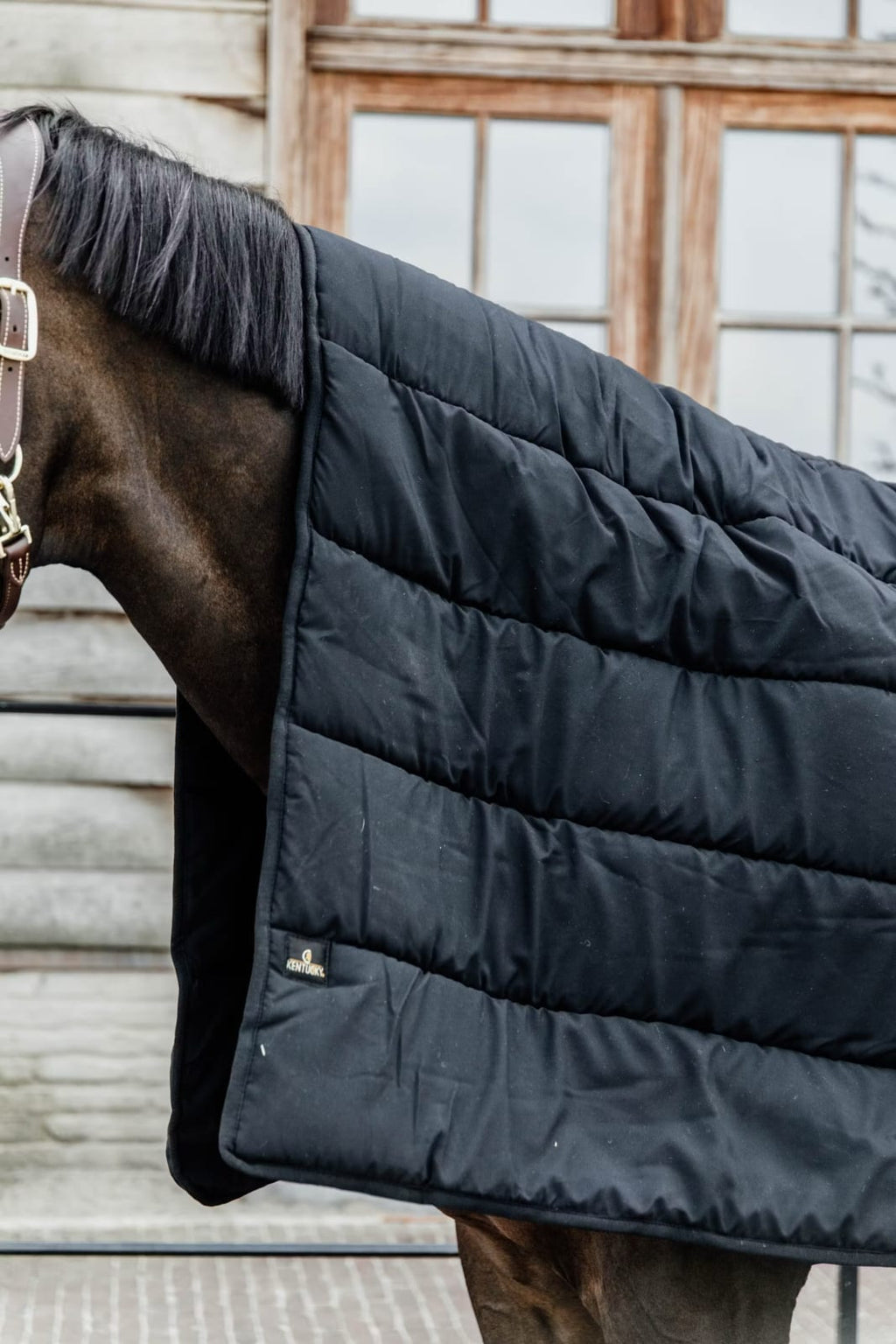 Kentucky Horse Duve - Løwenborg - Kentucky Horsewear