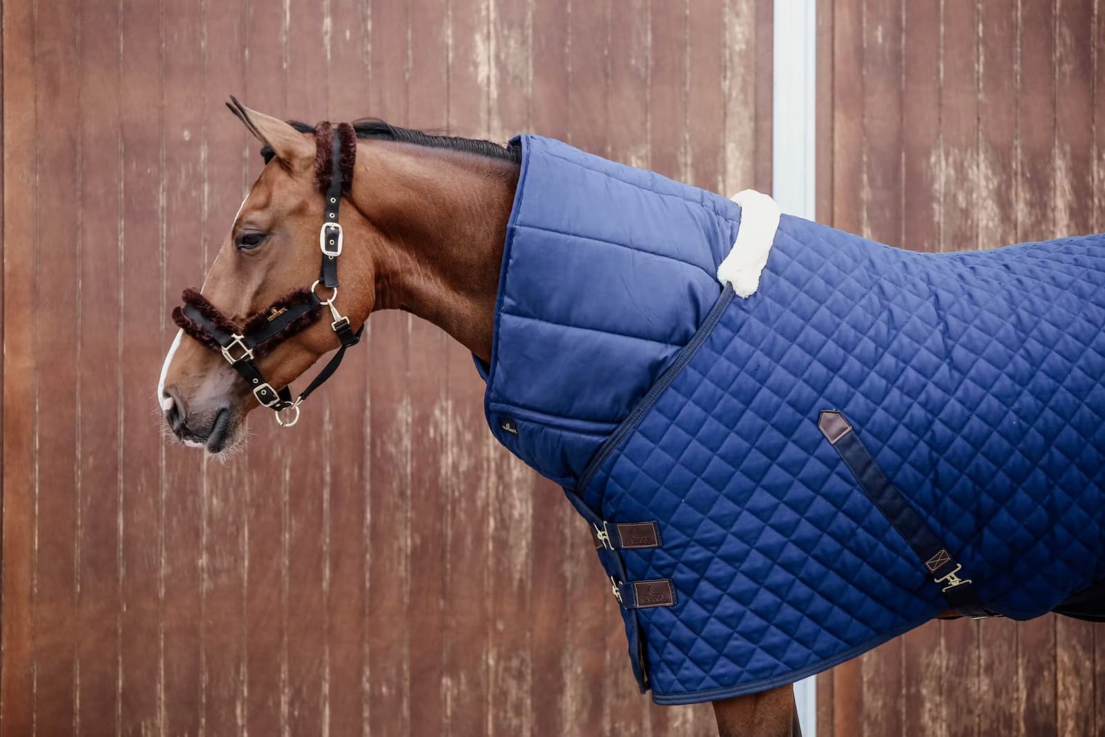 Kentucky Horse Duve - Løwenborg - Kentucky Horsewear