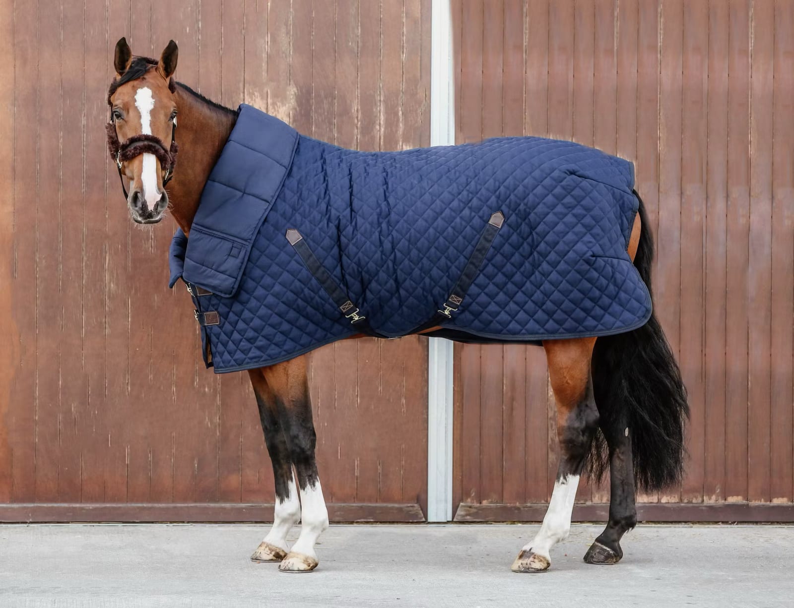 Kentucky Horse Duve - Løwenborg - Kentucky Horsewear