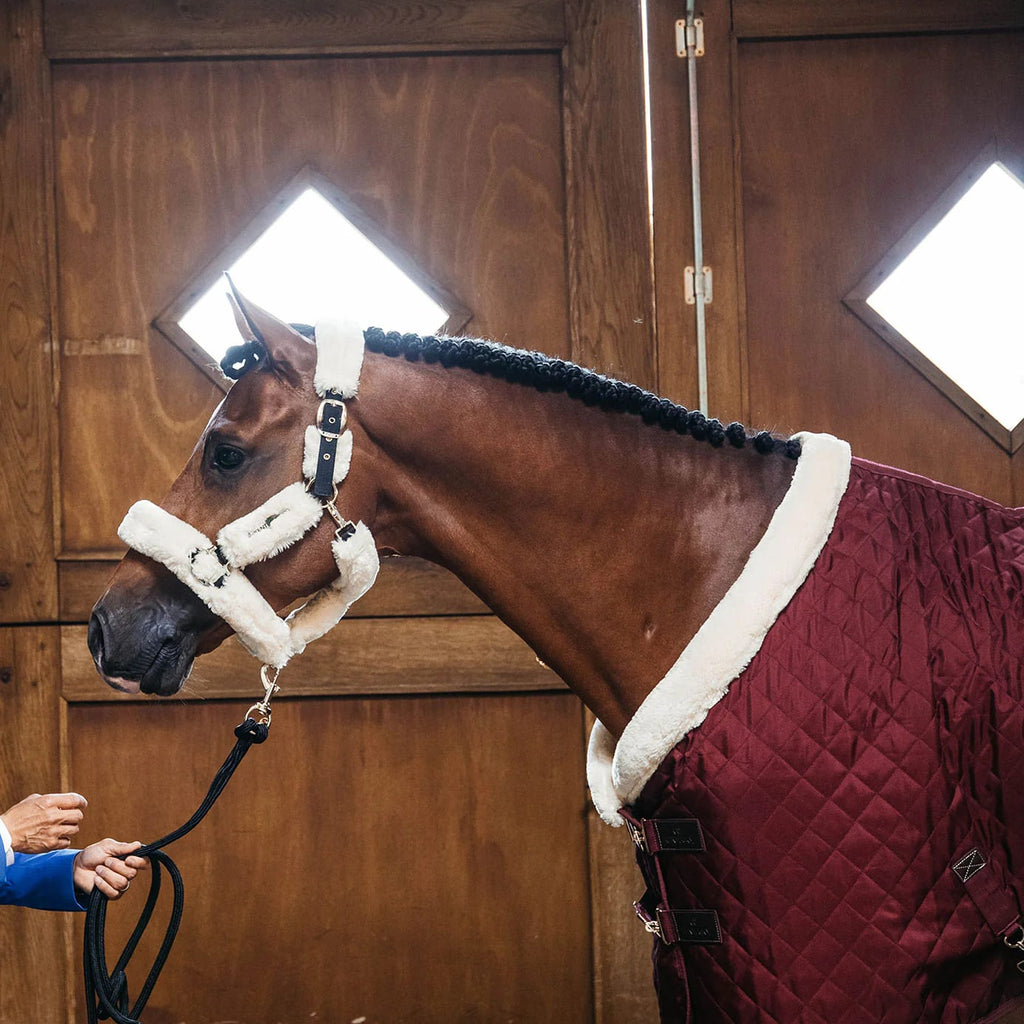 Kentucky Show Rug - Løwenborg - Kentucky Horsewear