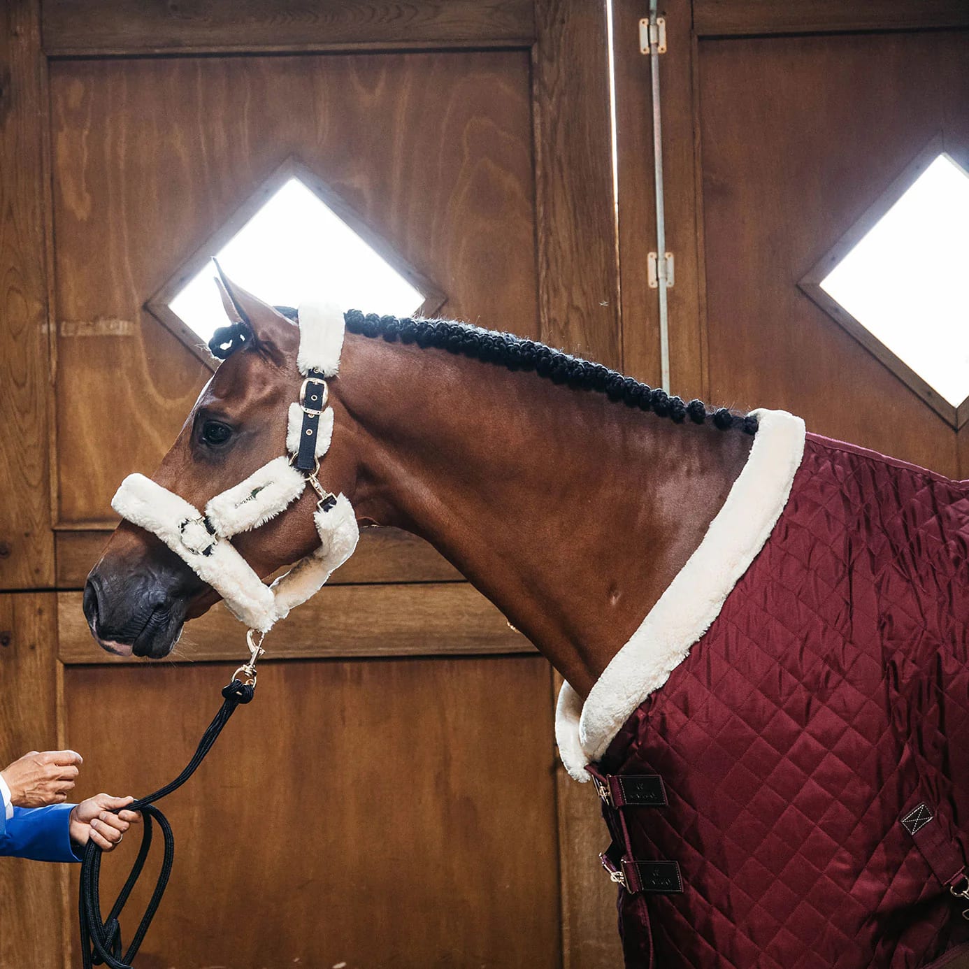 Kentucky Show Rug - Løwenborg - Kentucky Horsewear