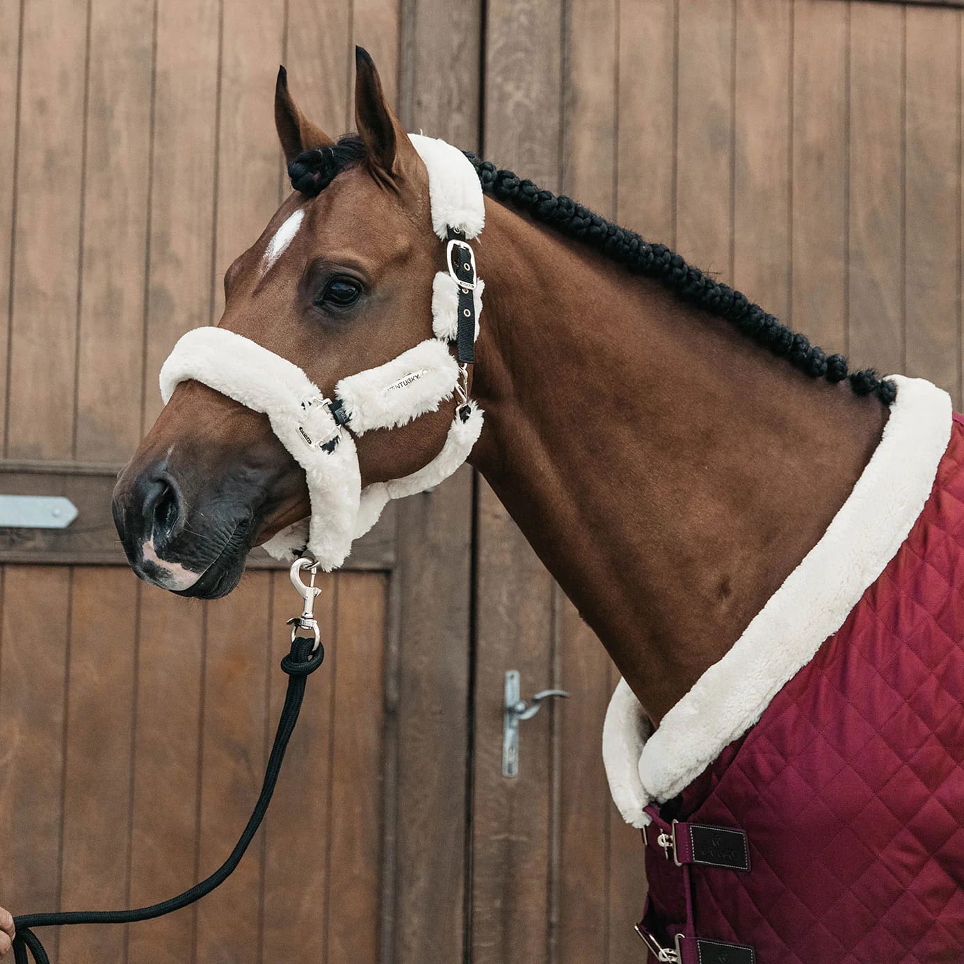 Kentucky Show Rug - Løwenborg - Kentucky Horsewear
