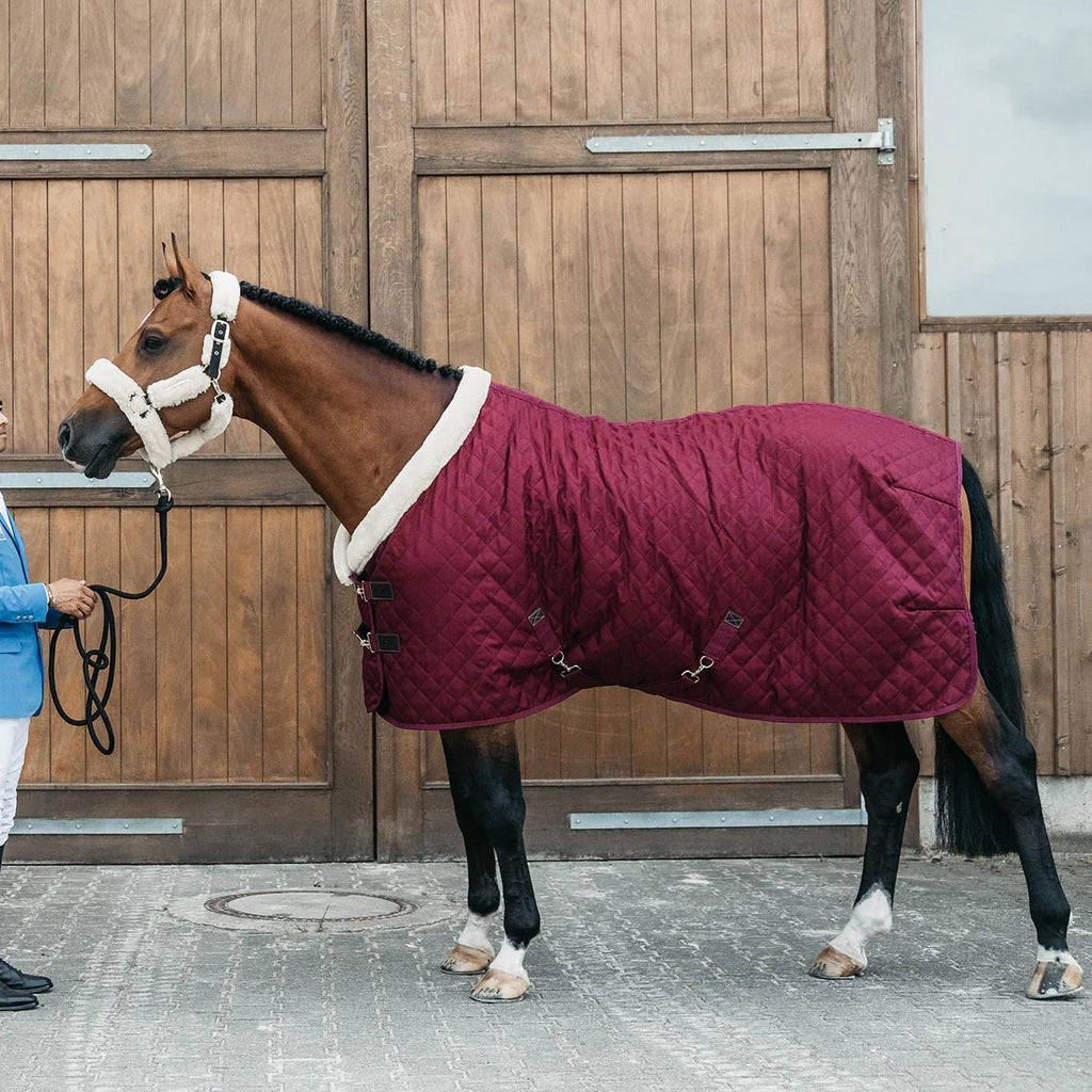 Kentucky Show Rug - Løwenborg - Kentucky Horsewear