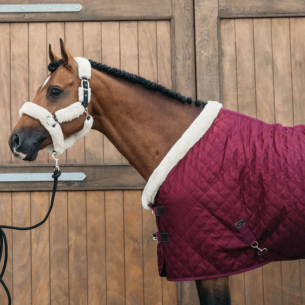 Kentucky Show Rug - Løwenborg - Kentucky Horsewear