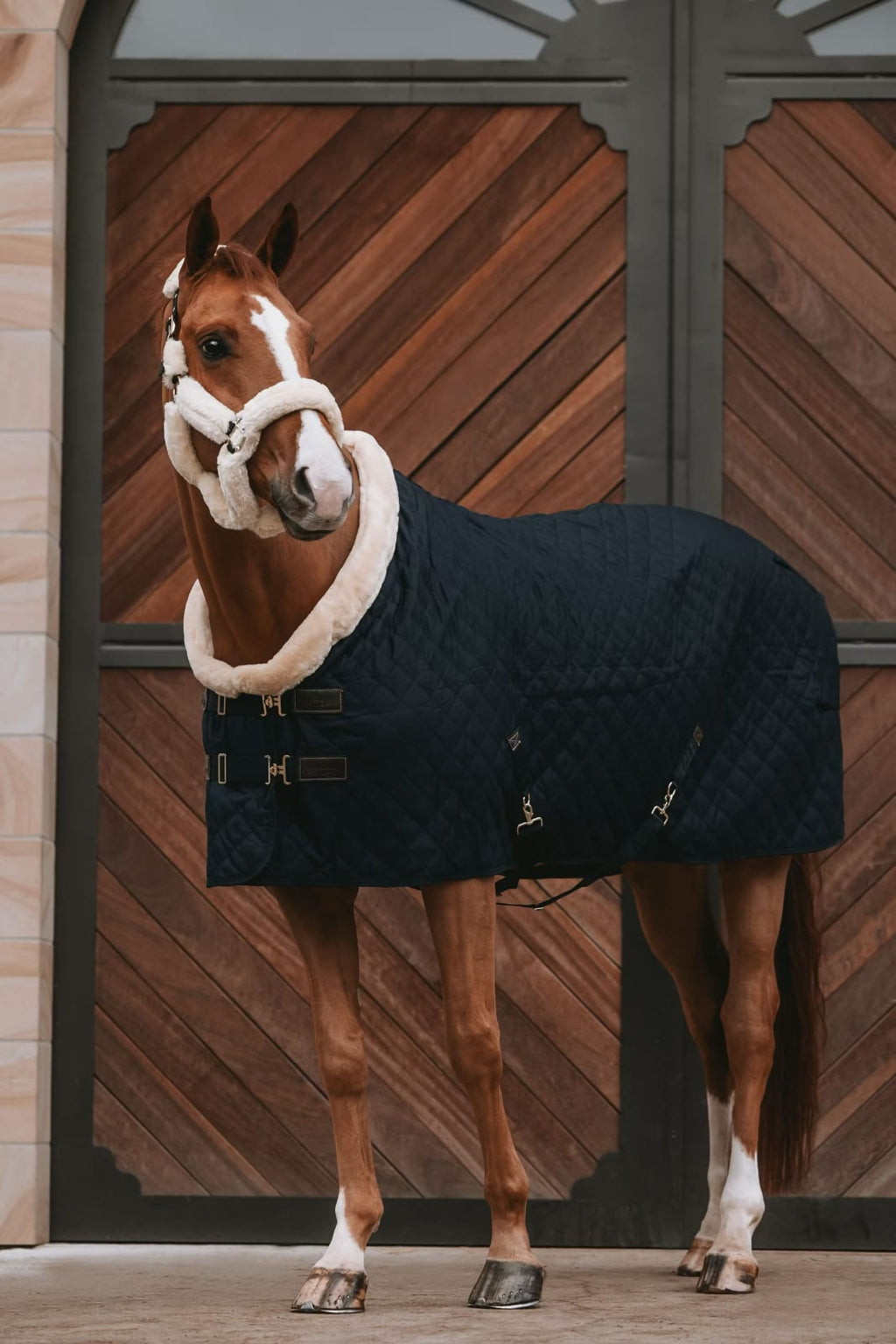 Kentucky Show Rug - Løwenborg - Kentucky Horsewear