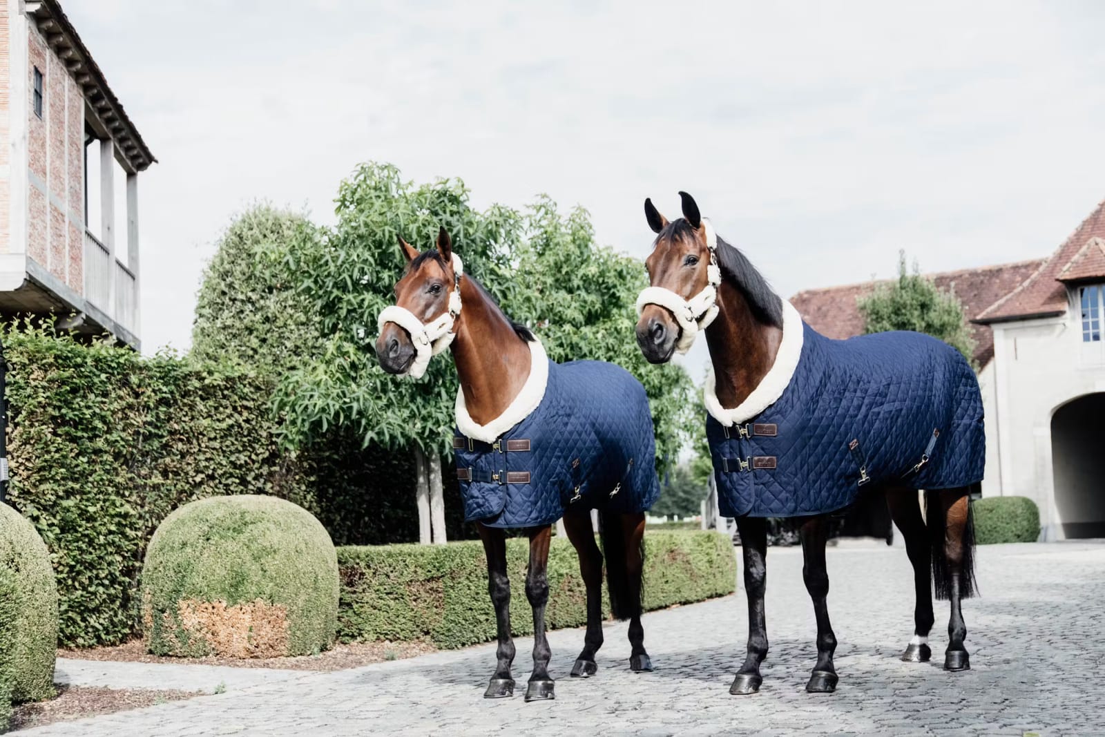 Kentucky Show Rug - Løwenborg - Kentucky Horsewear