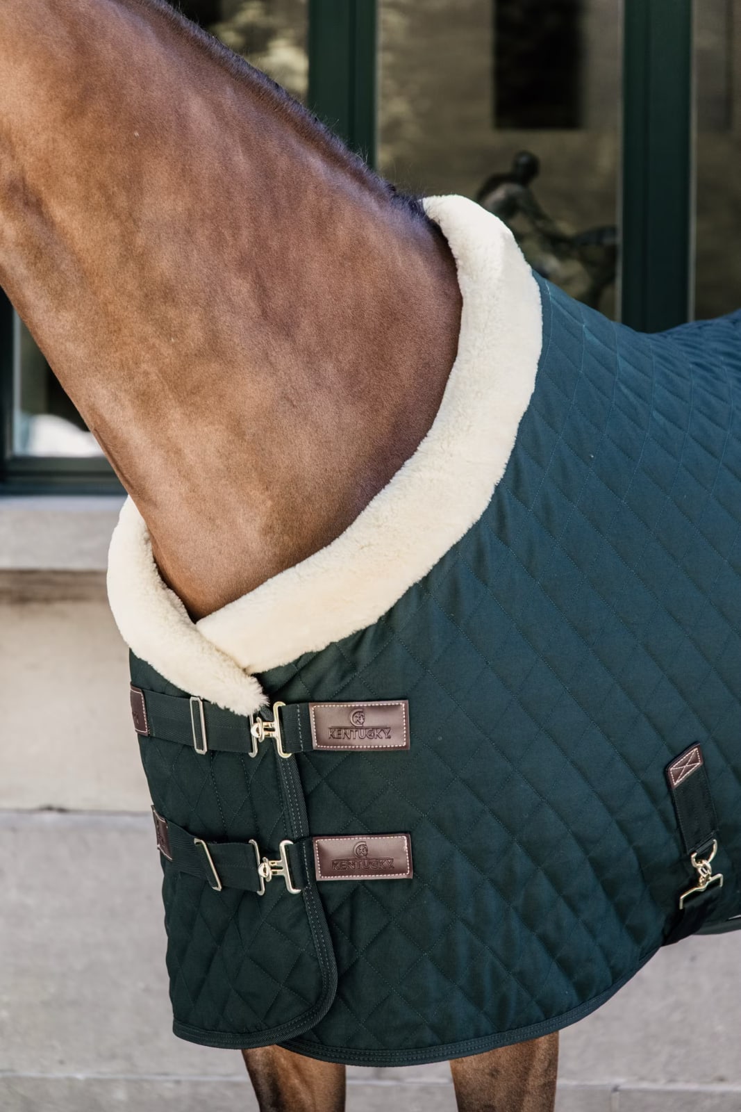 Kentucky Show Rug - Løwenborg - Kentucky Horsewear