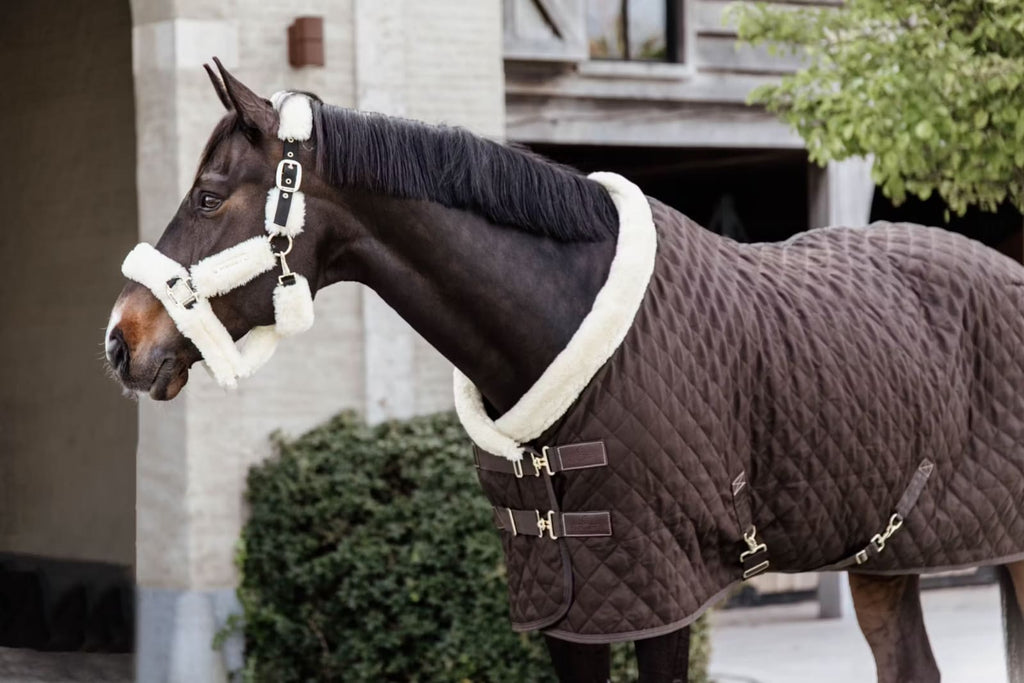 Kentucky Show Rug - Løwenborg - Kentucky Horsewear