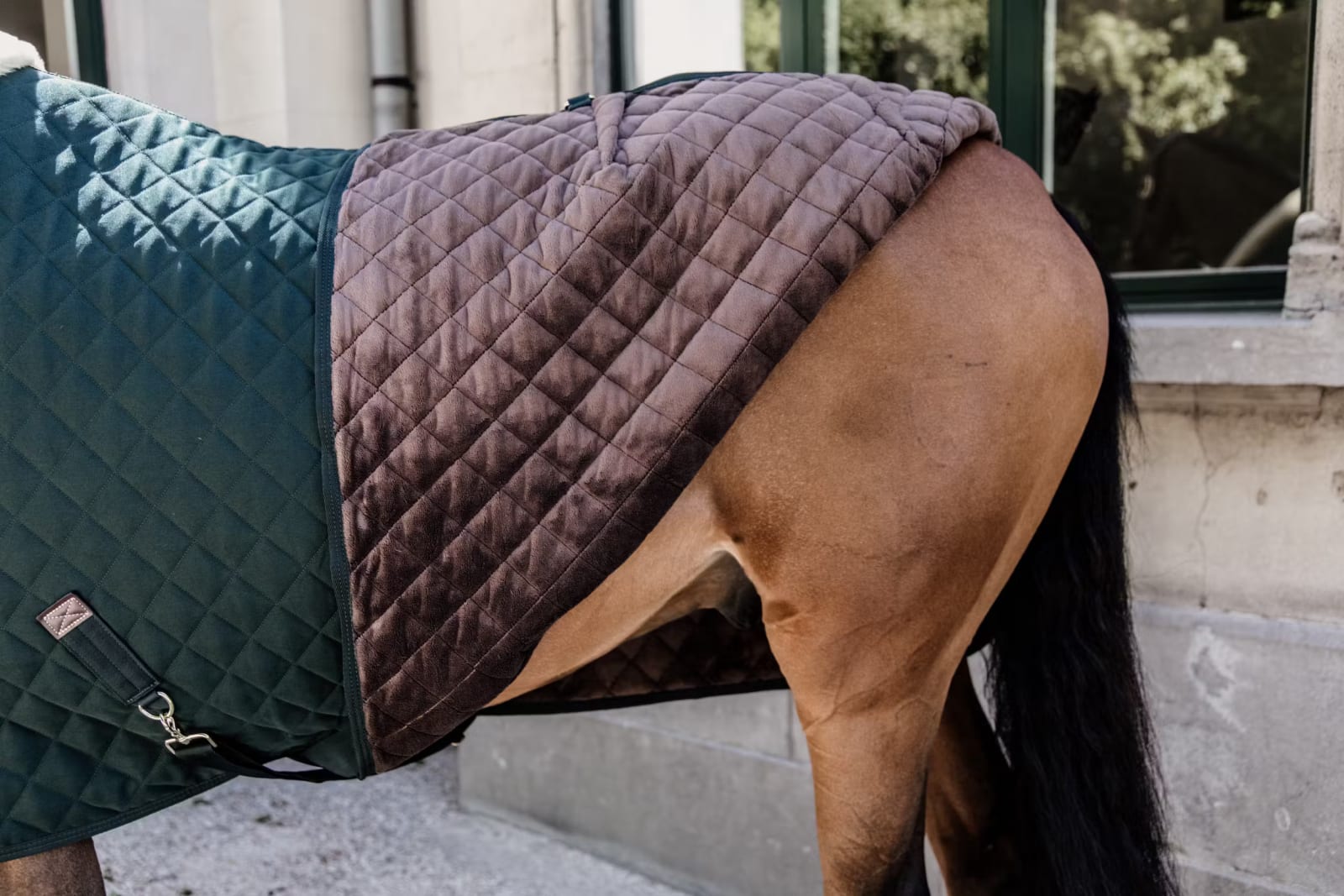 Kentucky Show Rug - Løwenborg - Kentucky Horsewear