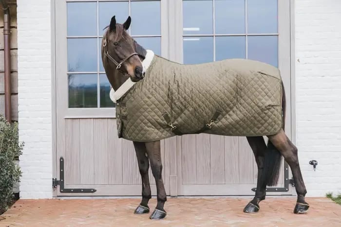 Kentucky Show Rug - Løwenborg - Kentucky Horsewear