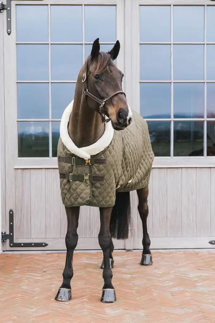 Kentucky Show Rug - Løwenborg - Kentucky Horsewear