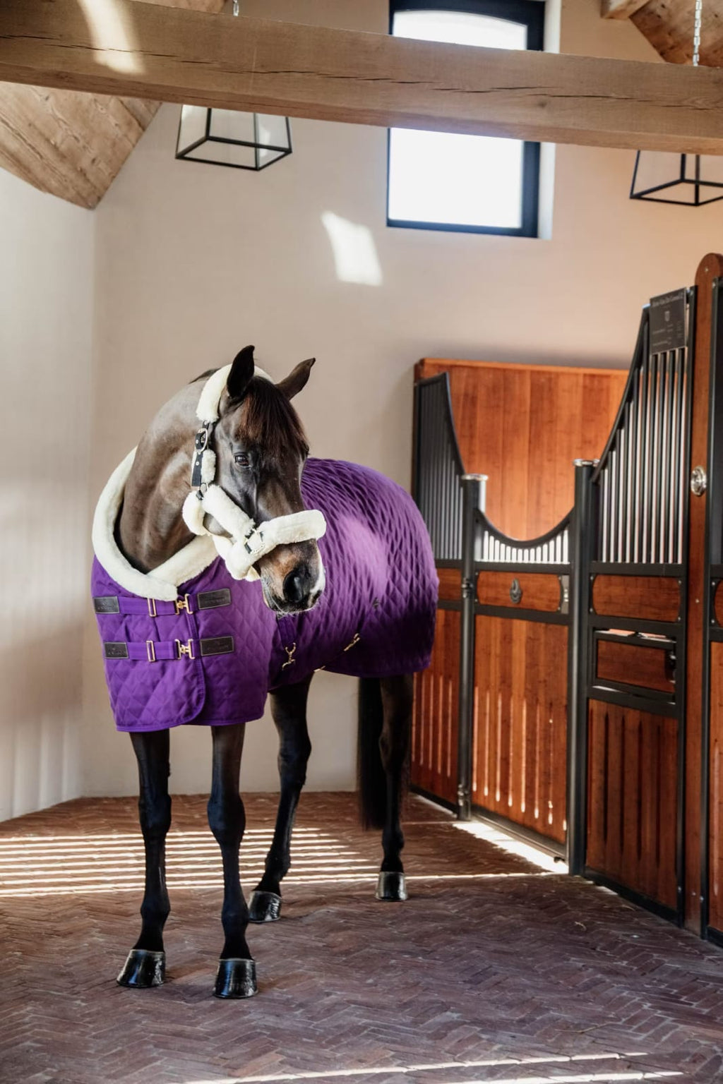 Kentucky Show Rug - Løwenborg - Kentucky Horsewear