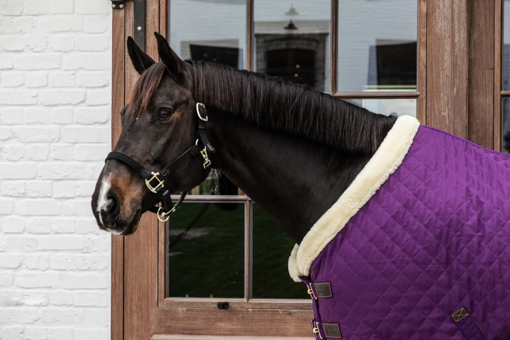 Kentucky Show Rug - Løwenborg - Kentucky Horsewear