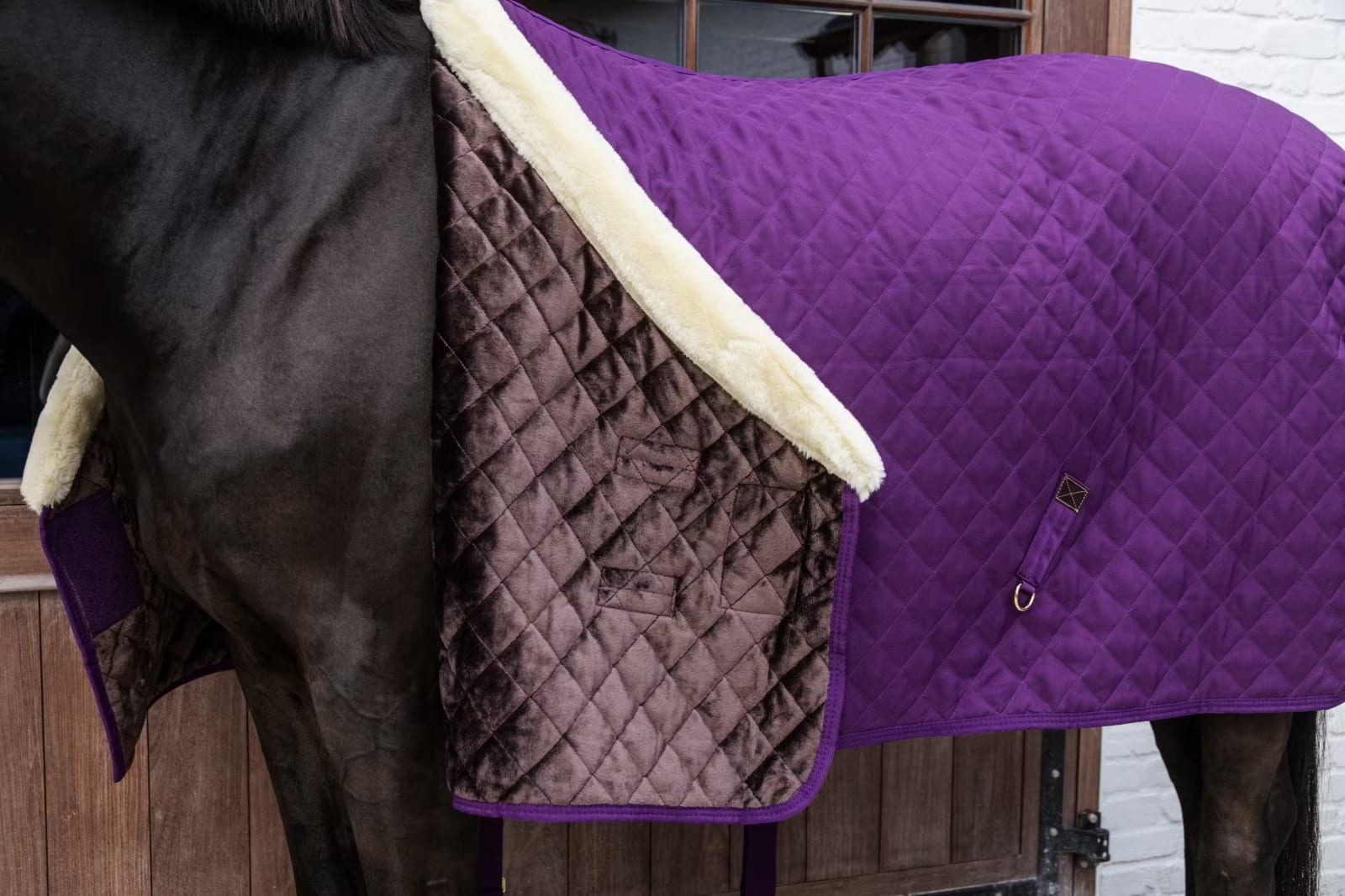 Kentucky Show Rug - Løwenborg - Kentucky Horsewear