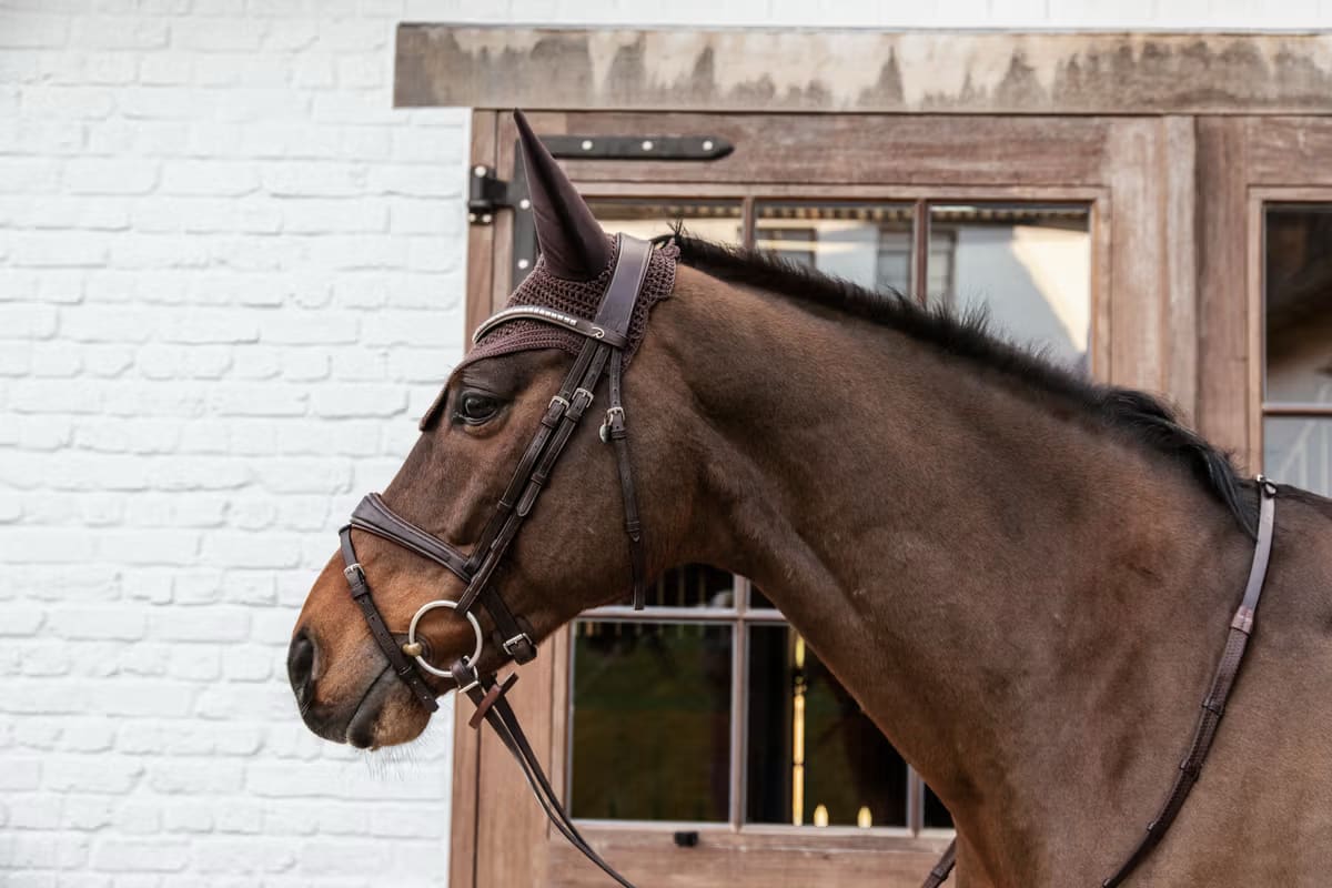 Kentucky Fly veil Wellington - Løwenborg - Kentucky Horsewear