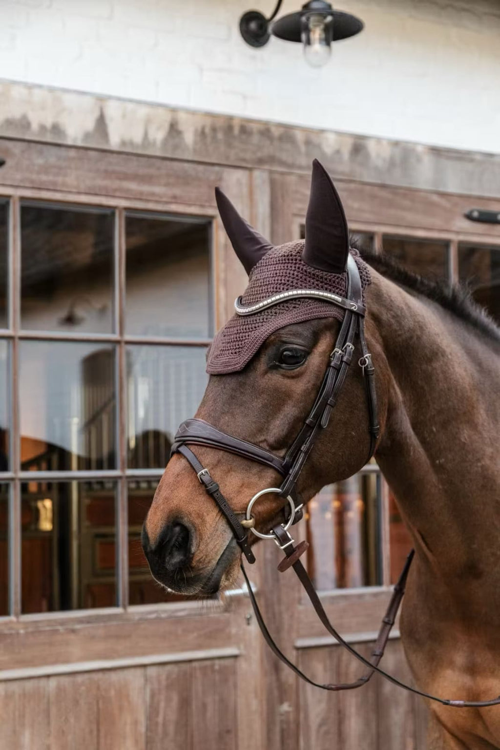 Kentucky Fly veil Wellington - Løwenborg - Kentucky Horsewear