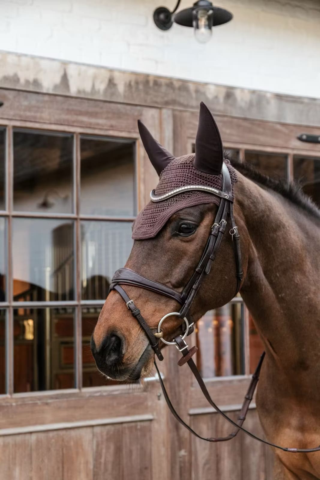 Kentucky Fly veil Wellington - Løwenborg - Kentucky Horsewear
