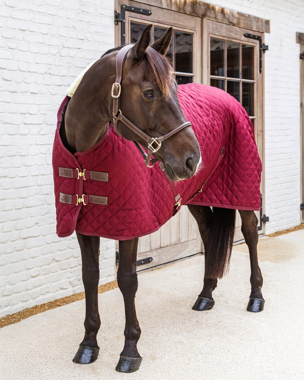 Kentucky Stable Rug - Løwenborg - Kentucky Horsewear