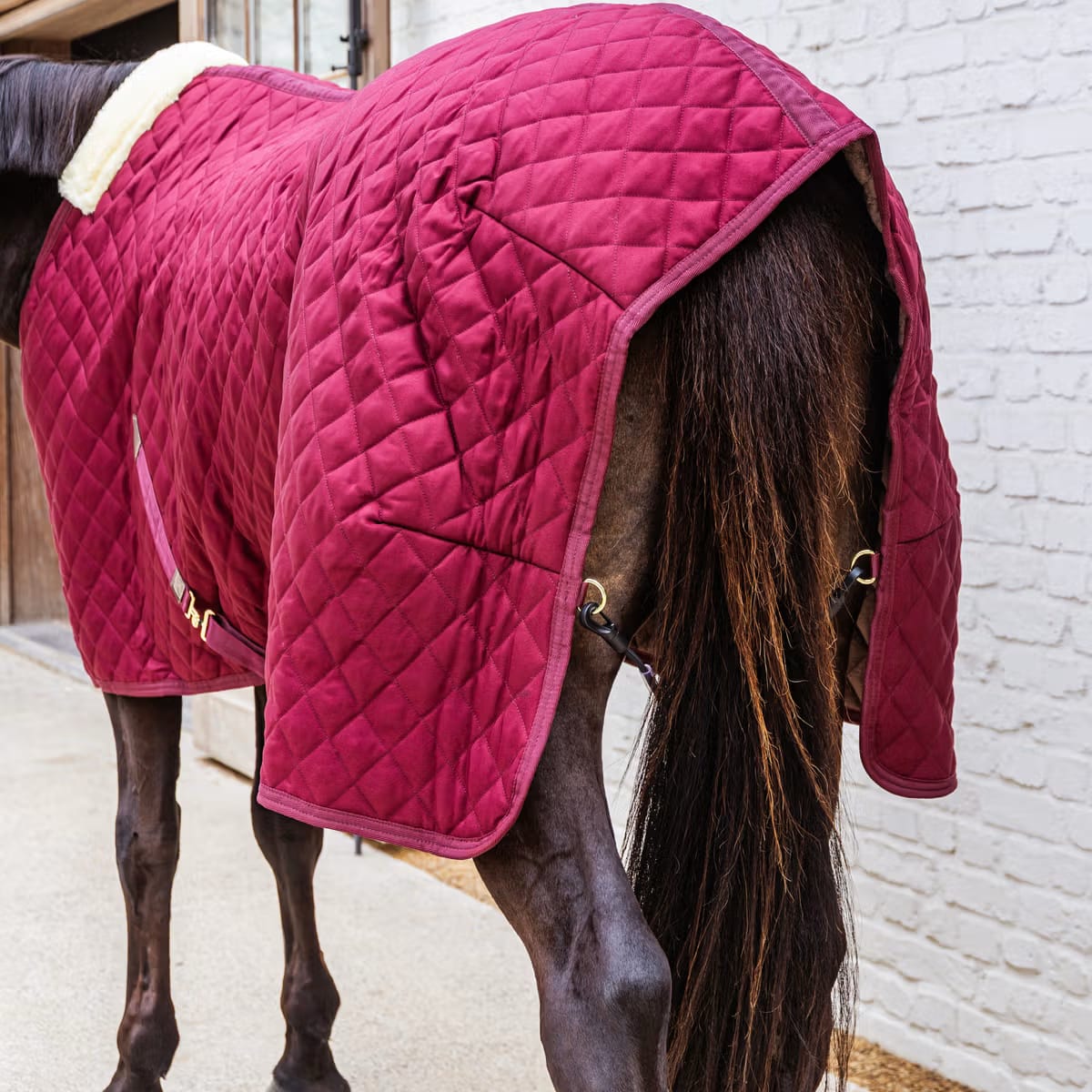 Kentucky Stable Rug - Løwenborg - Kentucky Horsewear