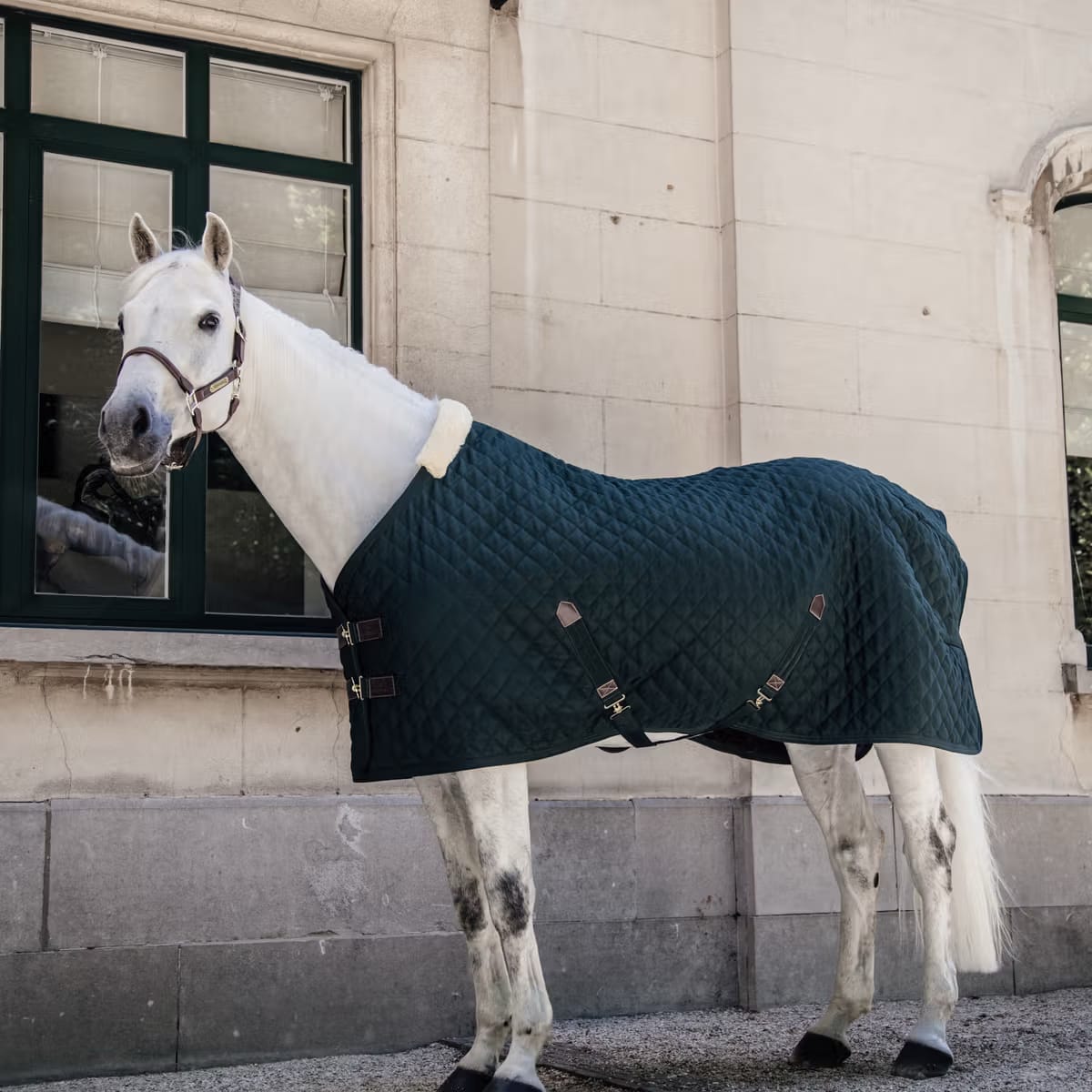 Kentucky Stable Rug - Løwenborg - Kentucky Horsewear