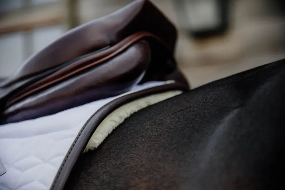 Kentucky Saddle Pad Skin Friendly Jumping - Løwenborg - Kentucky Horsewear