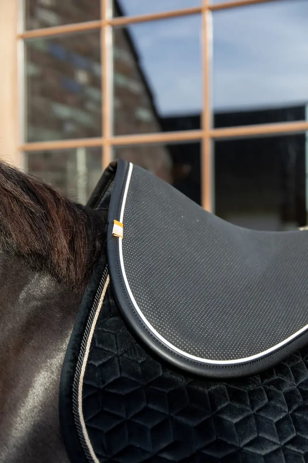Kentucky Anatomic Half Pad Absorb - Løwenborg - Kentucky Horsewear