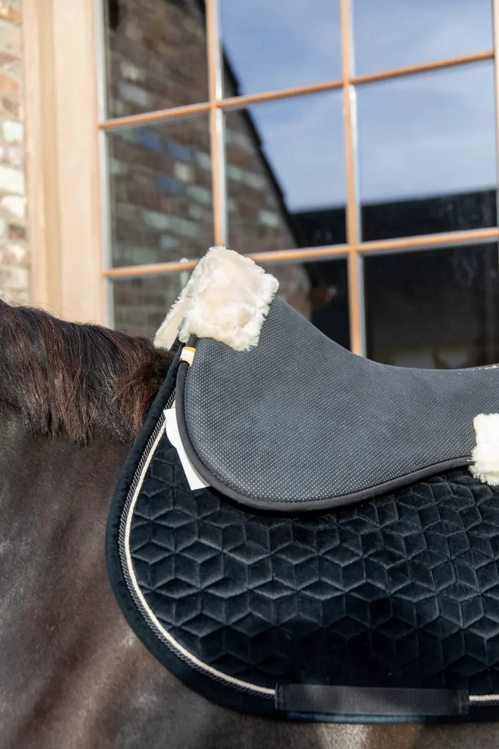 Kentucky Sheepskin Anatomic Half Pad Absorb - Løwenborg - Kentucky Horsewear