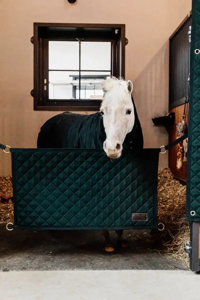 Kentucky Stable Guard - Løwenborg - Kentucky Horsewear