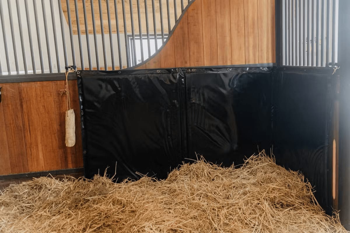Kentucky Kick Pad - Løwenborg - Kentucky Horsewear