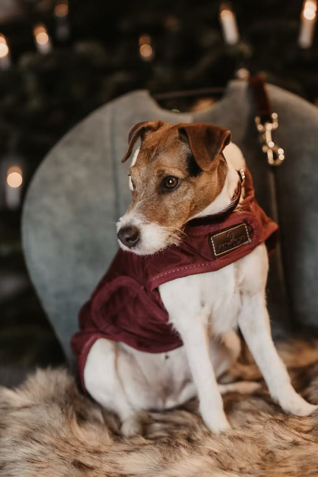 Kentucky Dog Coat Original - Løwenborg - Kentucky Dogwear