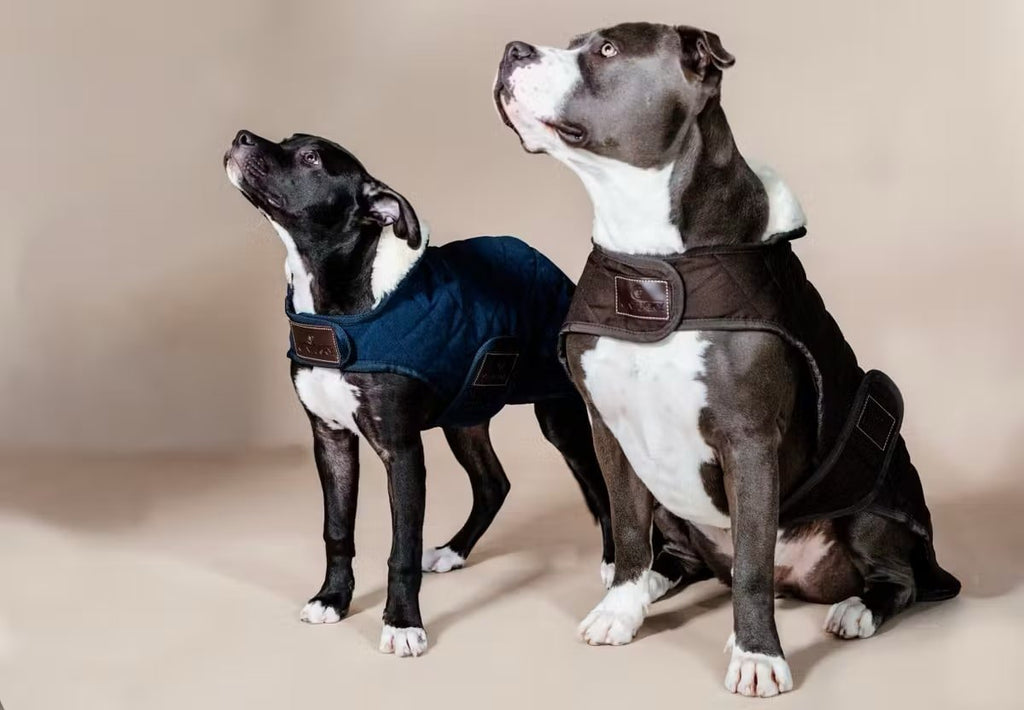 Kentucky Dog Coat Original - Løwenborg - Kentucky Dogwear