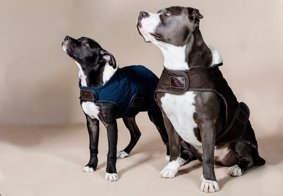 Kentucky Dog Coat Original - Løwenborg - Kentucky Dogwear