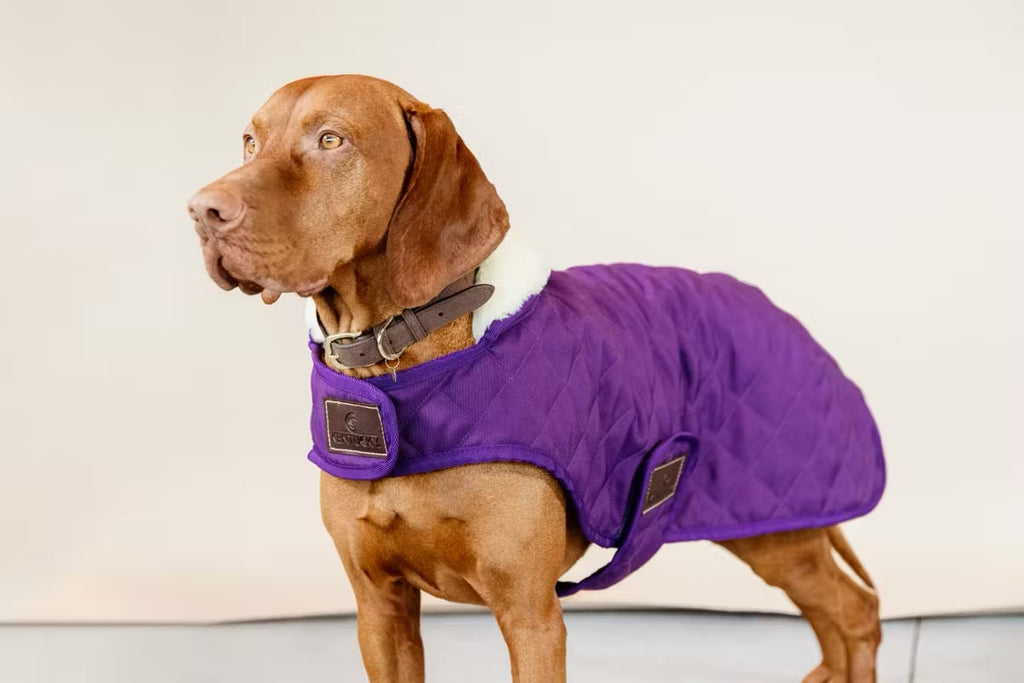 Kentucky Dog Coat Original - Løwenborg - Kentucky Dogwear