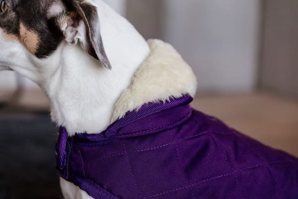 Kentucky Dog Coat Original - Løwenborg - Kentucky Dogwear