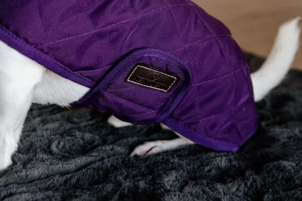 Kentucky Dog Coat Original - Løwenborg - Kentucky Dogwear