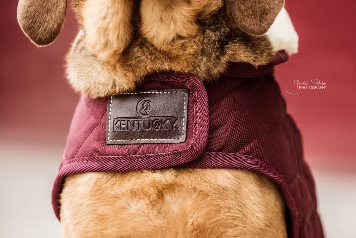 Kentucky Dog Coat Original - Løwenborg - Kentucky Dogwear